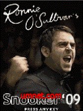 game pic for Ronnie OSullivans Snooker 2009